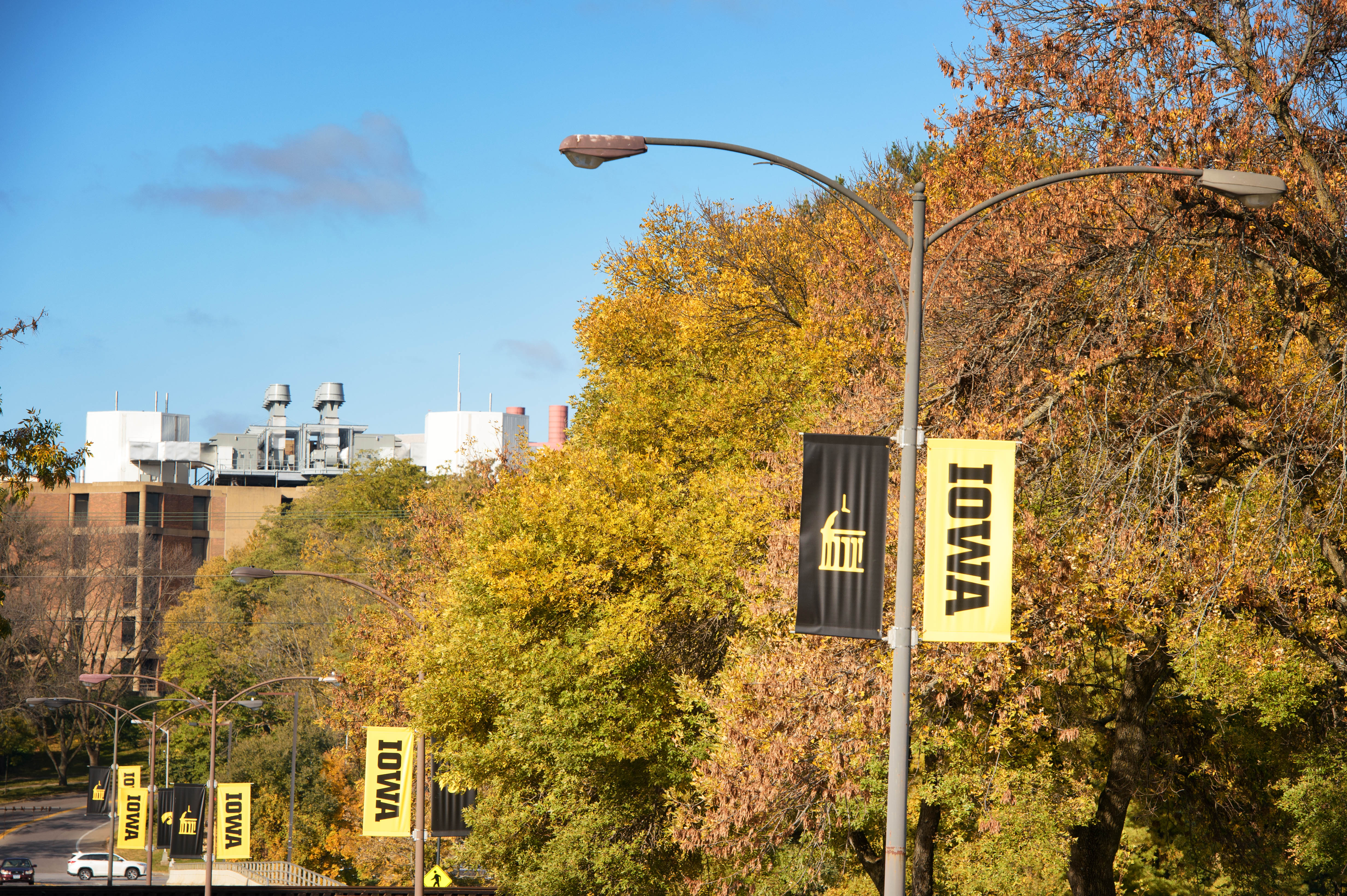 Light Pole Banners on Iowa Avenue