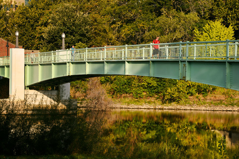 IMU Pedestrian Bridge