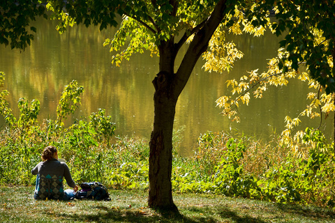 Student Sitting under Tree by the Rivier